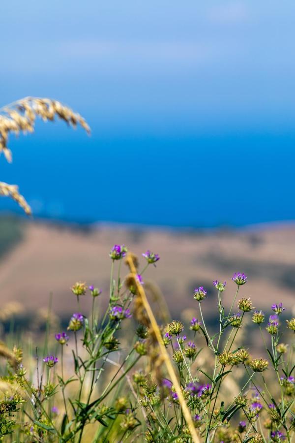 Il Panorama Housing Cilento *