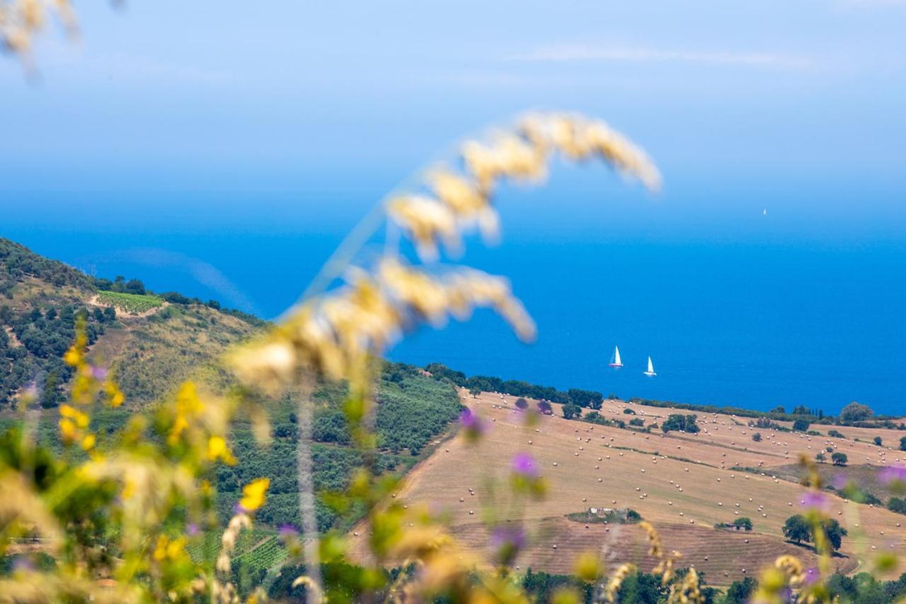 Il Panorama Housing Cilento *