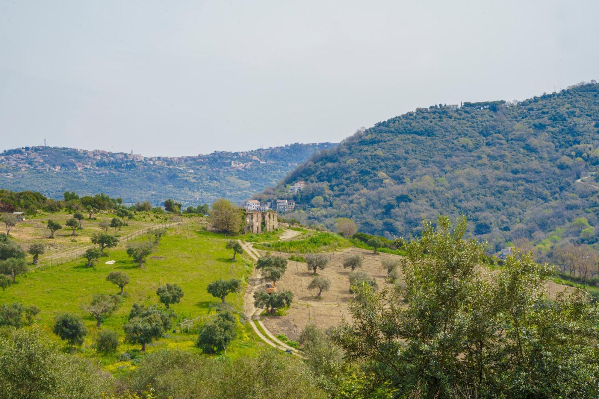Aparthotel Il Panorama Housing Cilento